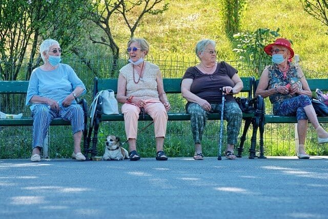 כלבים לקשישים
