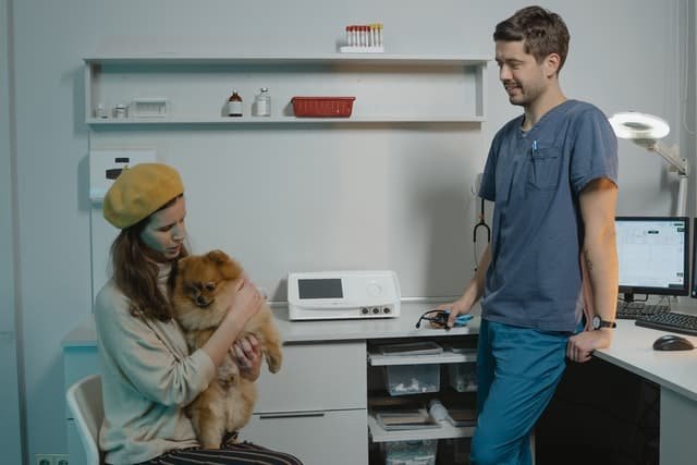 ביטוח לכלב האם לעשות. ביטוח לכלבים רפואי