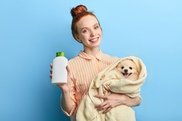 שמפו נגד פרעושים הוא אמצעי מנע מעולה למנוע פרעושים אצל כלבים